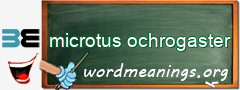 WordMeaning blackboard for microtus ochrogaster